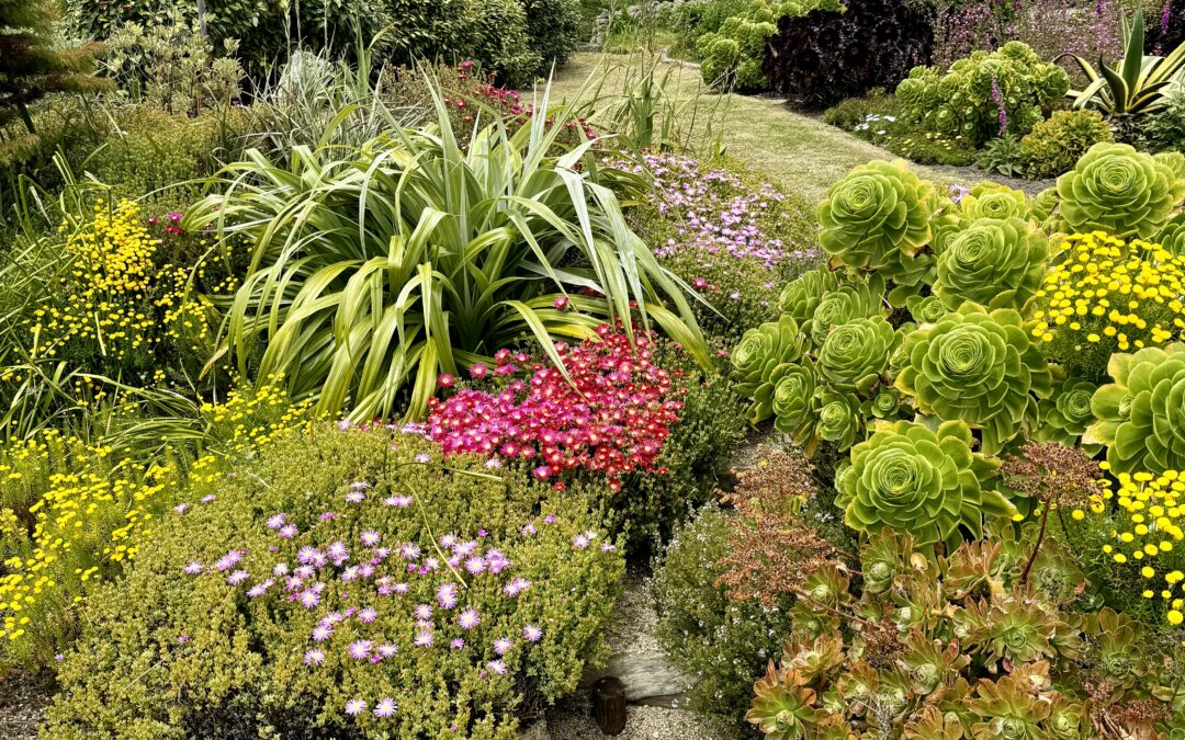 Hidden Gardens of Bryher Raise £2,000 for Island Haven