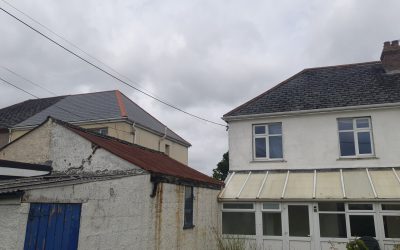 Haven News – Edition 5