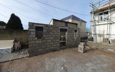 Haven News – Edition 6